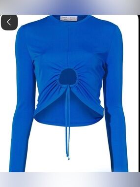 Proenza Schouler Blue Matte Long-Sleeve  Drawstring Top
